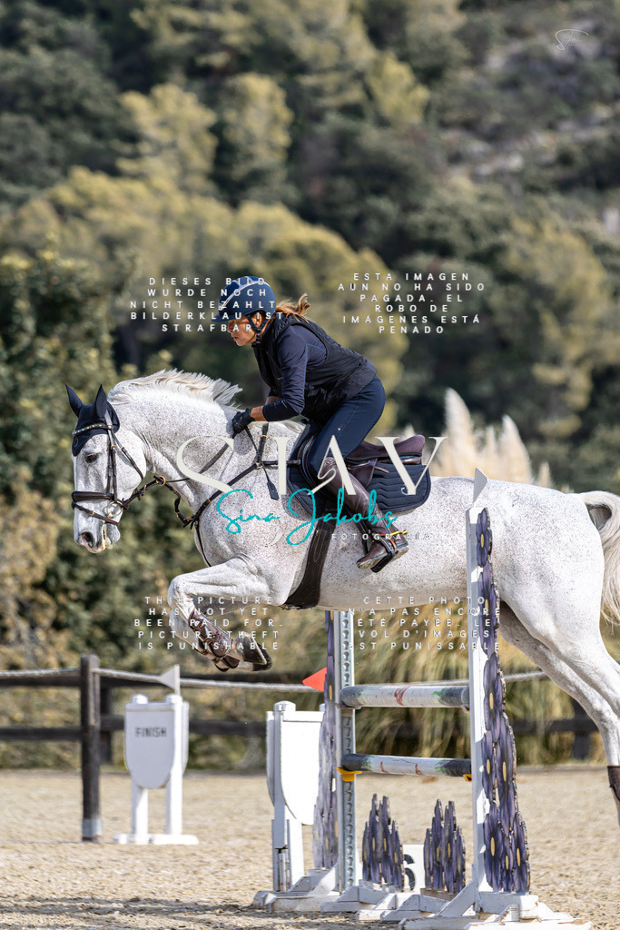 IMG_3790 | s-jay-photography - Realisiert mit Pictrs.com