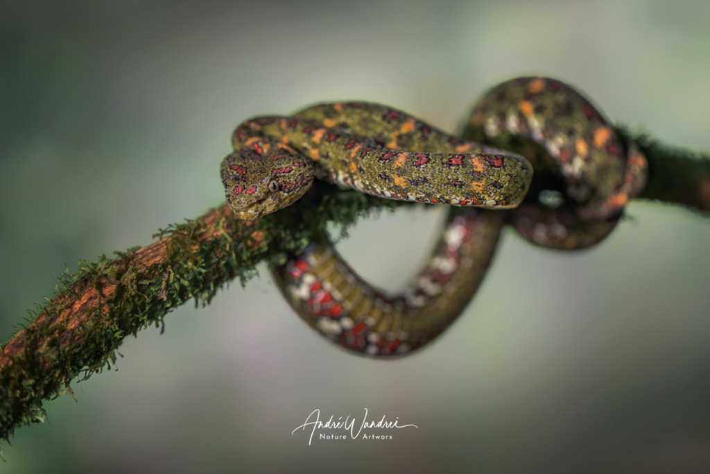 Ruhepause | Andre Wandrei - Nature Artworx - Realisiert mit Pictrs.com