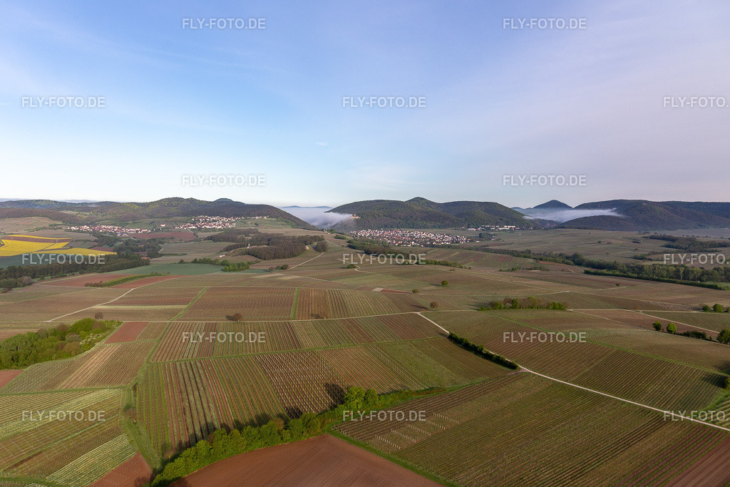 Burg Landeck im Morgennebel | Luftbild: Burg Landeck im Morgennebel in Klingenmünster im Bundesland Rheinland-Pfalz in Deutschland. Foto: IMG_113747.jpg vom 29.04.2019 durch Werner Riehm/FLY-FOTO.de - Realisiert mit Pictrs.com