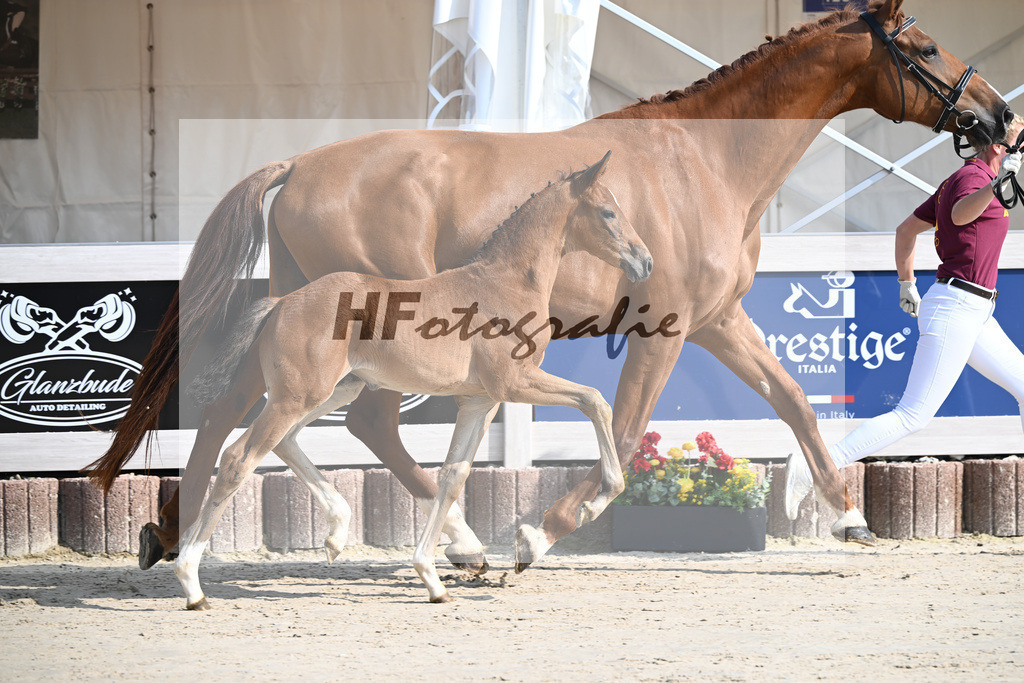 Fuerst Zonik x Vitalis_SF_Haering_12250013 | hf-fotografie - Realisiert mit Pictrs.com