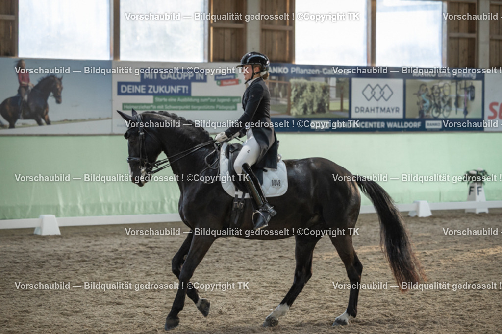 _D5A0803 | Emotionale Pferde- & People-Fotografie rund um Heidelberg, Leimen & Umgebung. Natürliche Fotos von Pferd, Mensch & Familie. Jetzt Termin sichern!