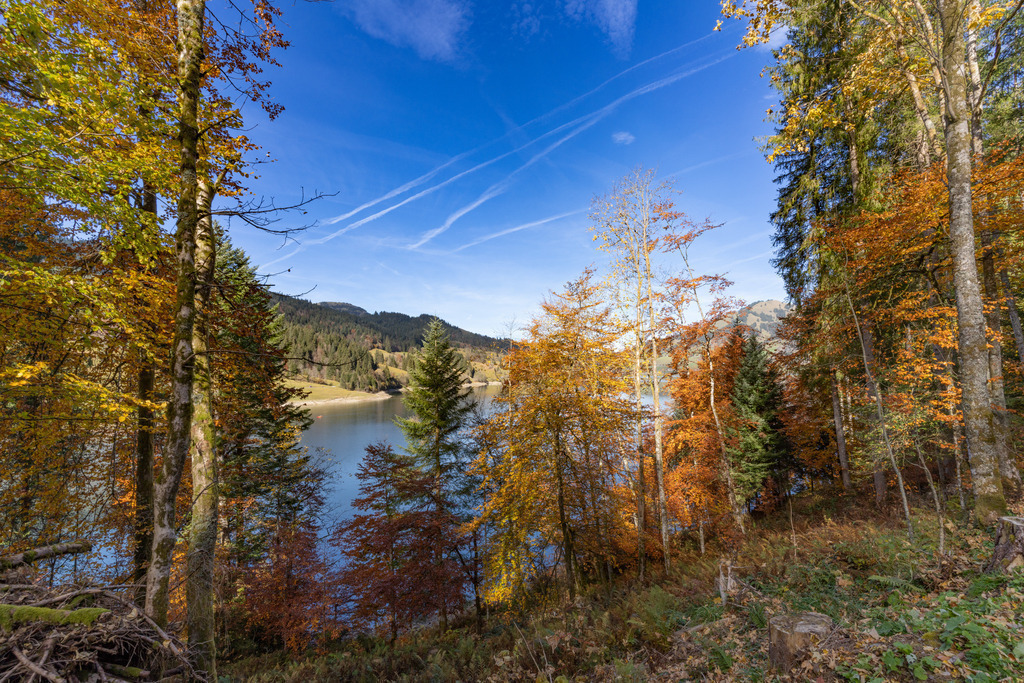 2021_10_31 BRM03254 | bridgeman - Realisiert mit Pictrs.com