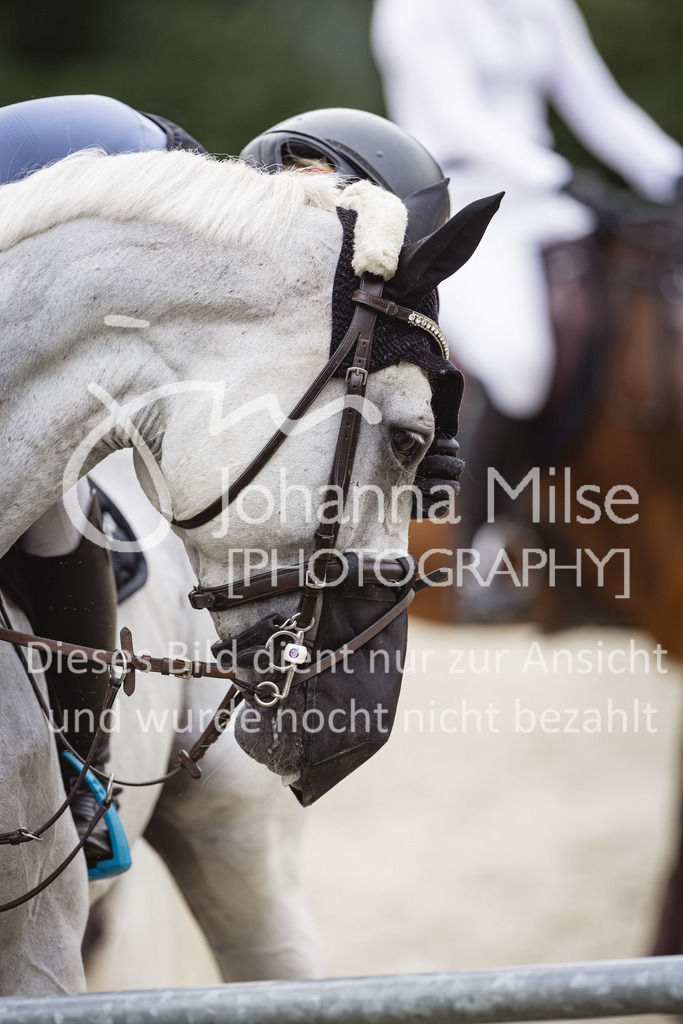 230824_Delbrueck_AmateurM2-242 | Deine schönsten Turniermomente als professionelle Fotos! Entdecke hochwertige Pferdesport-Fotografie im Online-Shop. Jetzt Fotos finden & bestellen!