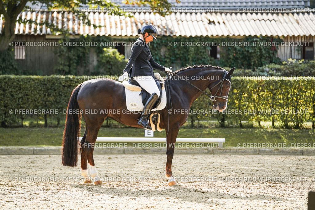 DSC07727 | Pferdegrafie