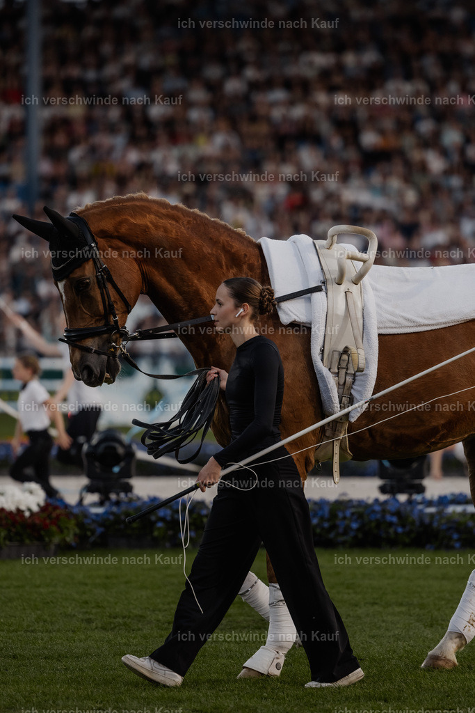 TSCHIO26_PferdundSinfonie_StoibphotographyTSCHIO26_Pferd-Sinfonie_Stoibphotography_AM11042.CR3.jpg | working equitationturnier fotograf videograf stoibphotography marixx film working equitation deutschland reitsport turnierfotografie eventfotografie equestrian events