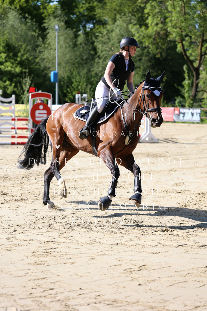 IMGS5205 | pl-fotografie