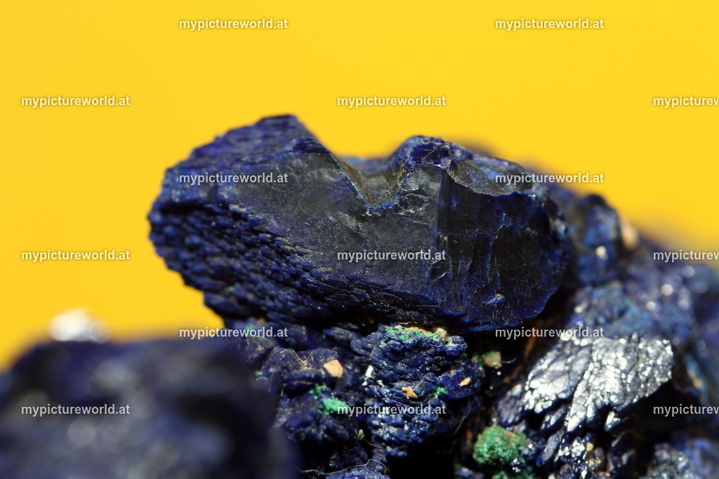 Azurit-005 | Das Bilderarchiv über Tiere, Planzen und Landschaften. In der Bilddatenbank finden Sie ein große Auswahl an hochwertigen Bilder für Ihre Werbung - Realisiert mit Pictrs.com