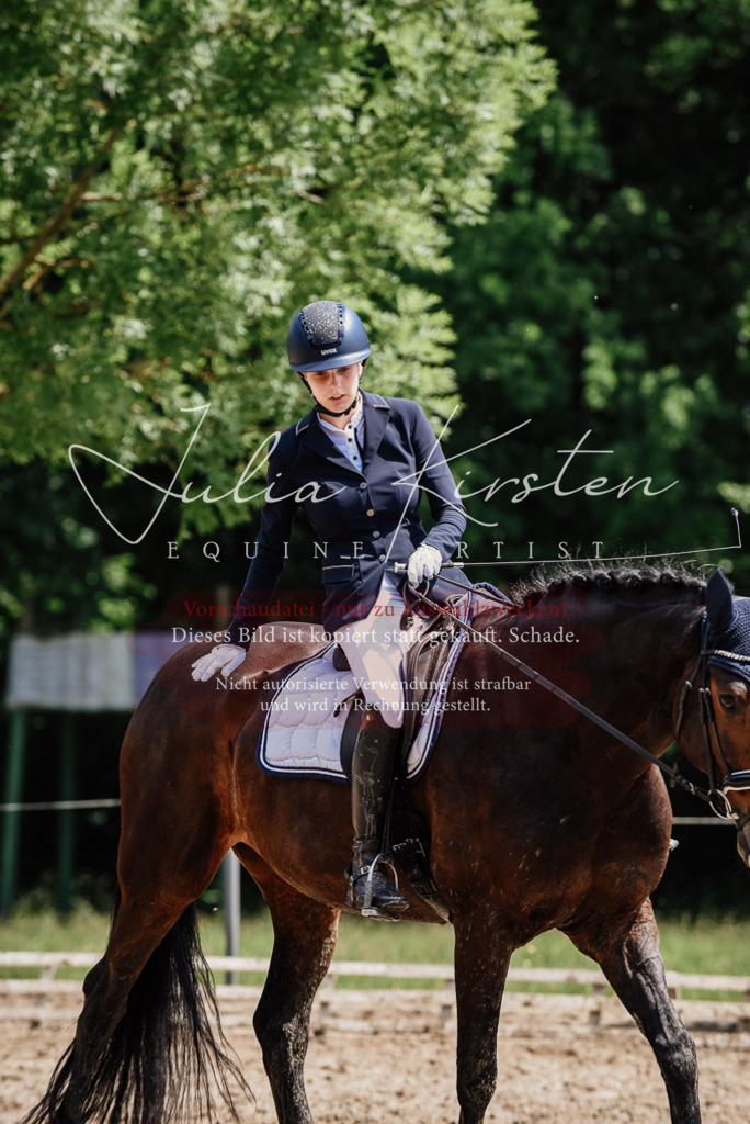 DSC_1522 | Pferde- und Turnierfotografie in Westsachsen. Pferdeportraits, Auftragszeichnungen und intuitive Kunst.