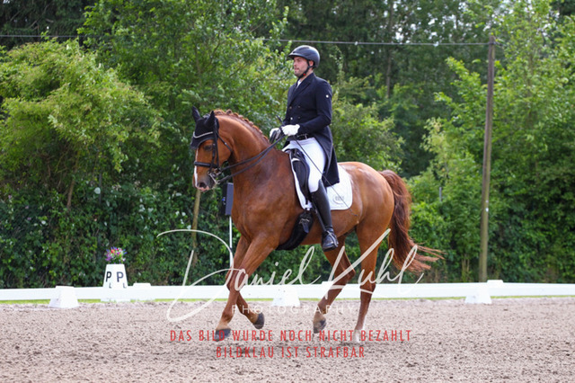 DKP41301 | Turnierfotos kaufen im Webshop von Daniel Kuhl Photography – entdecke professionelle Reitsportfotos aus Turnieren & Events. Hochwertige Turnierbilder online bestellen & sichern. Jetzt Fotos von Reitsportturnieren kaufen!