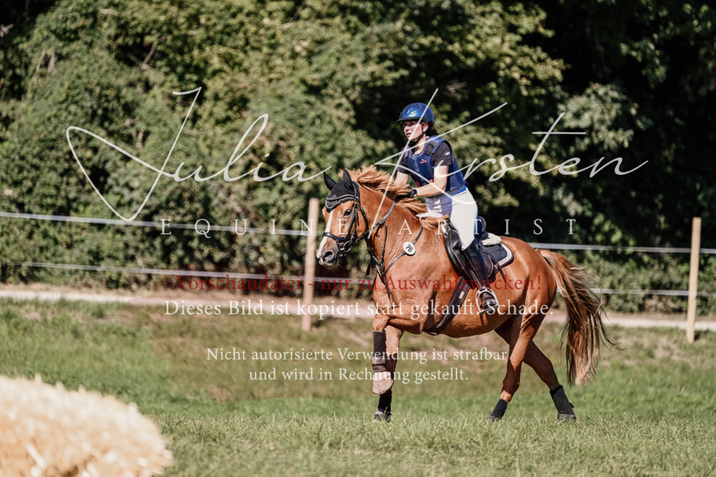 DSC_3074 | Pferde- und Turnierfotografie in Westsachsen. Pferdeportraits, Auftragszeichnungen und intuitive Kunst.