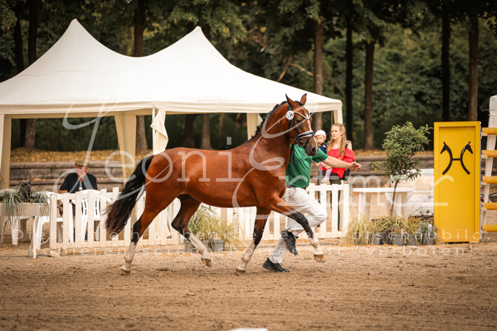 10.-12.Elite00066 | Leoni Ertmer Photography - Realisiert mit Pictrs.com