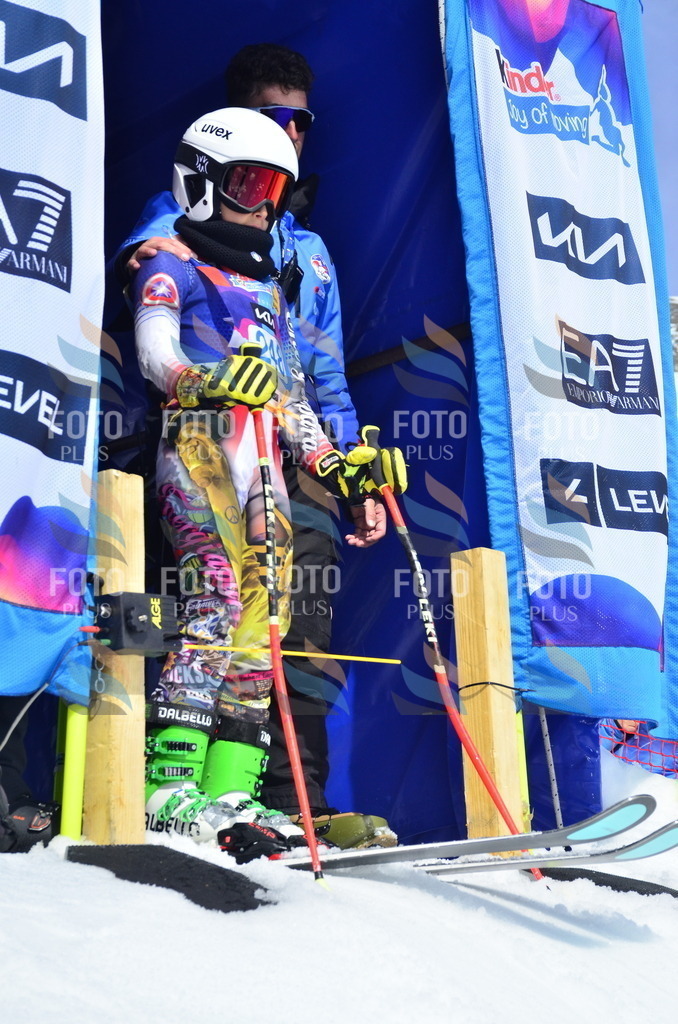 _ELE1803 | holidayphoto