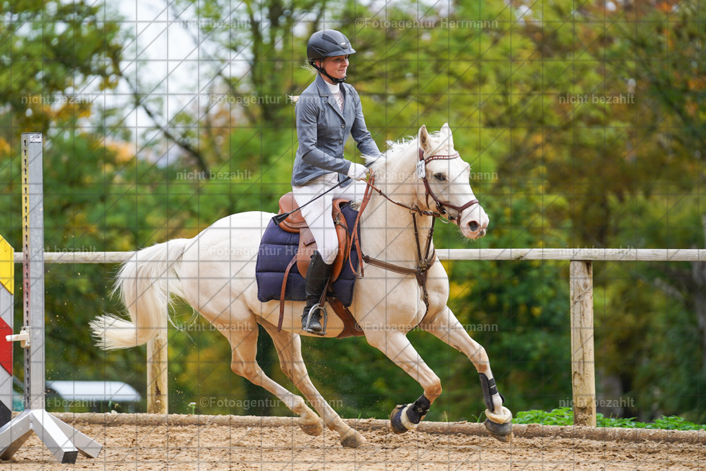 20221009-FAH08617 | Diessen am Ammersee, 2022, Dressur- und Springturnier, Reitsportbilder, Turnierfotografen Bayern, Pferdefotografen, Fotoagentur Herrmann, Turnierbilder