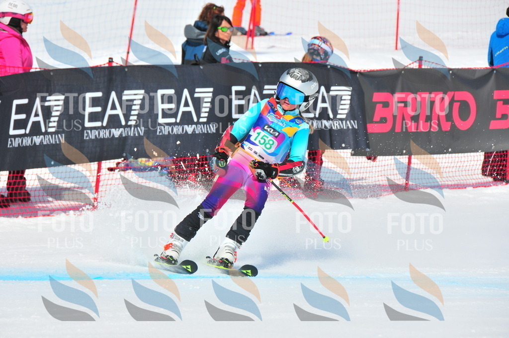 DSC_1401 | holidayphoto