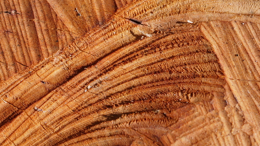 P1077031 | klausulrichmoeller