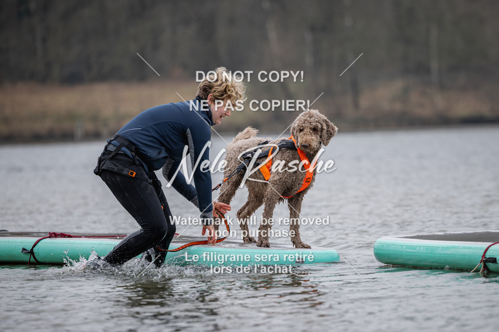 nelerasche_Hulsbeek_Sa1430-1515_456 | nelerasche