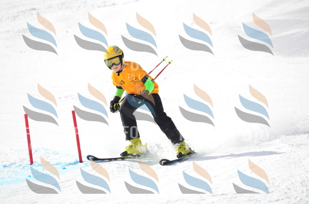 C8023 | holidayphoto