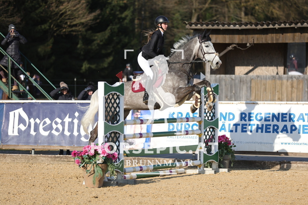 0P6A9139 | Willkommen bei Brunnmayr - Design & Fotografie – Ihrem Spezialisten für Reitturniere und Pferdeveranstaltungen in Oberösterreich, Salzburg und Bayern! Seit über 17 Jahren sind wir leidenschaftlich dabei.