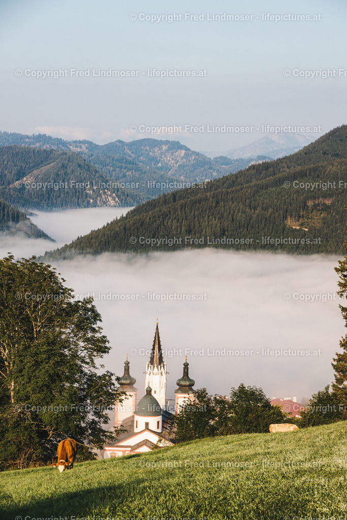 Basilika Mariazell Herbstnebel Stehralm-28540 | Fotos und Fotoprodukte - Realisiert mit Pictrs.com