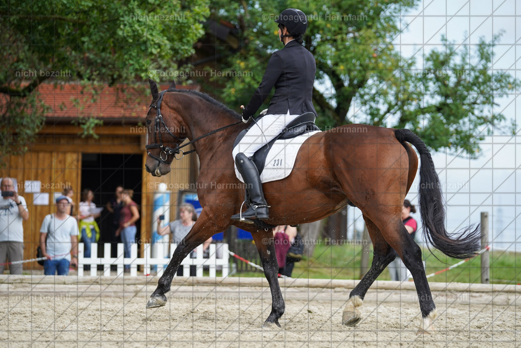 20230826-FAH05139 | Forstinning, 2023, Dressurturnier, Turniersportbilder, Turnierfotografen Bayern, Fotoagentur Herrmann, Reitsportfotografie, Turnierbilder