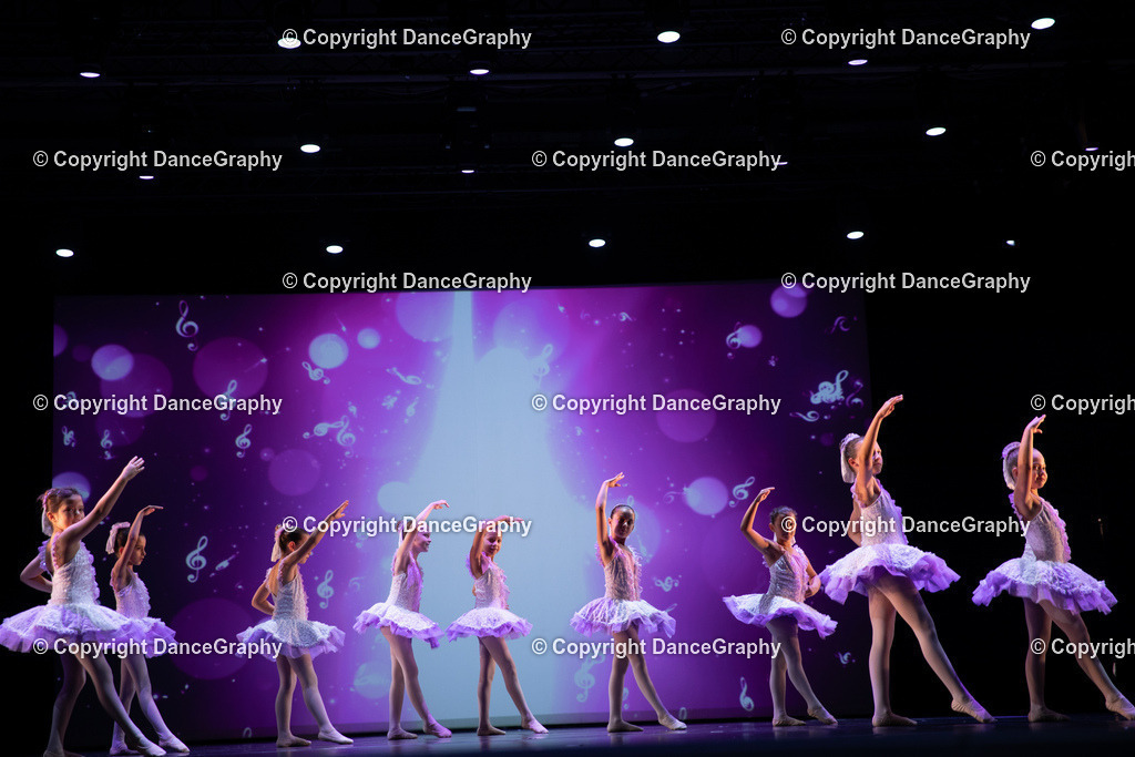 GPHY4826 | DanceGraphy - Realisiert mit Pictrs.com