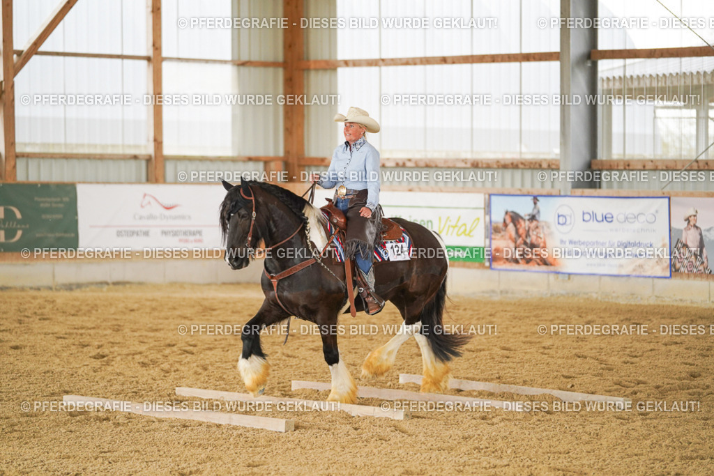 DSC04286 | Pferdegrafie