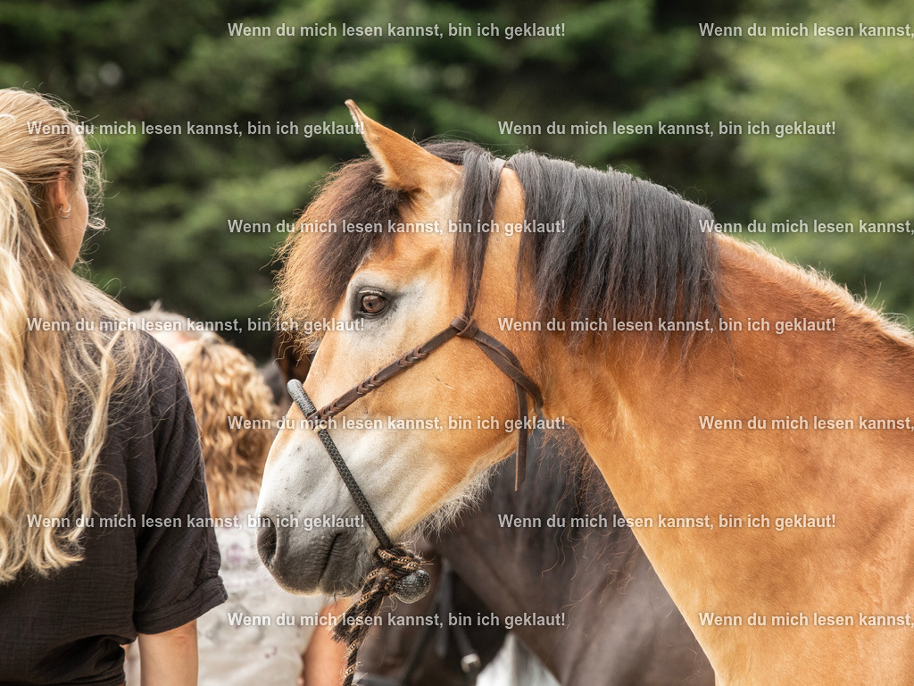 598A6115 | photographylinaismer - Realisiert mit Pictrs.com