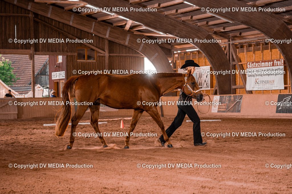 NE200029 | dv-media-shop - Realisiert mit Pictrs.com