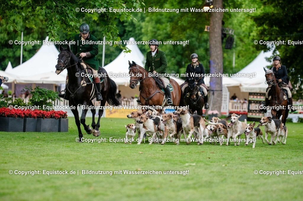 20250606_Lange-Pferdenacht_0500 | Foto: Thomas Hartig