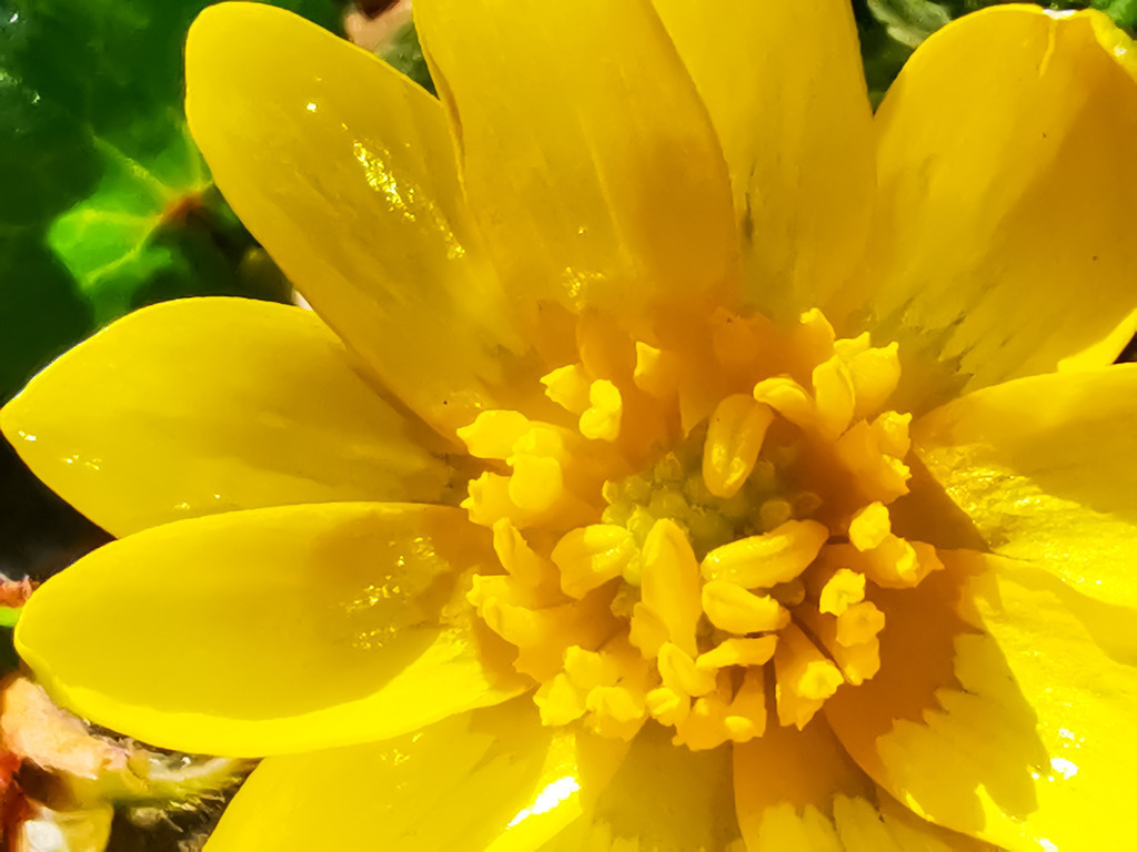 PSX_20230406_233653 | mtkfoto_ - Realisiert mit Pictrs.com