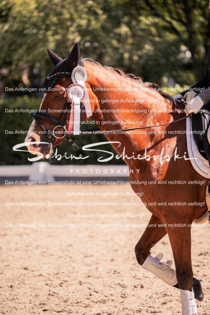 2025_05_31_DSCF3127 | People- und Tierfotografie, Imageaufnahmen, Veranstaltungsfotografie und Wandbilder aus der Natur ★ Made in Germany ✔️ Druck + Downloads ✔️ Naturfotografie in Top Qualität ★ schneller Versand, weltweite Lieferung! - Realisiert mit Pictrs.com