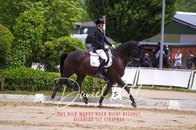 DKP40669 | Turniersportfotografie; Pferdefotografie; Dressurfotografie