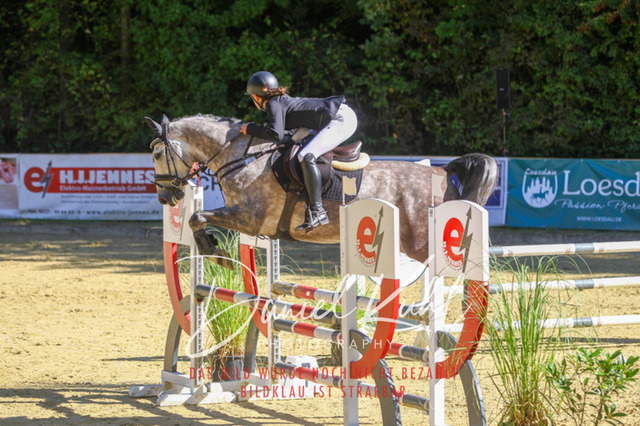 DKP42975 | Turniersportfotografie; Pferdefotografie; Dressurfotografie