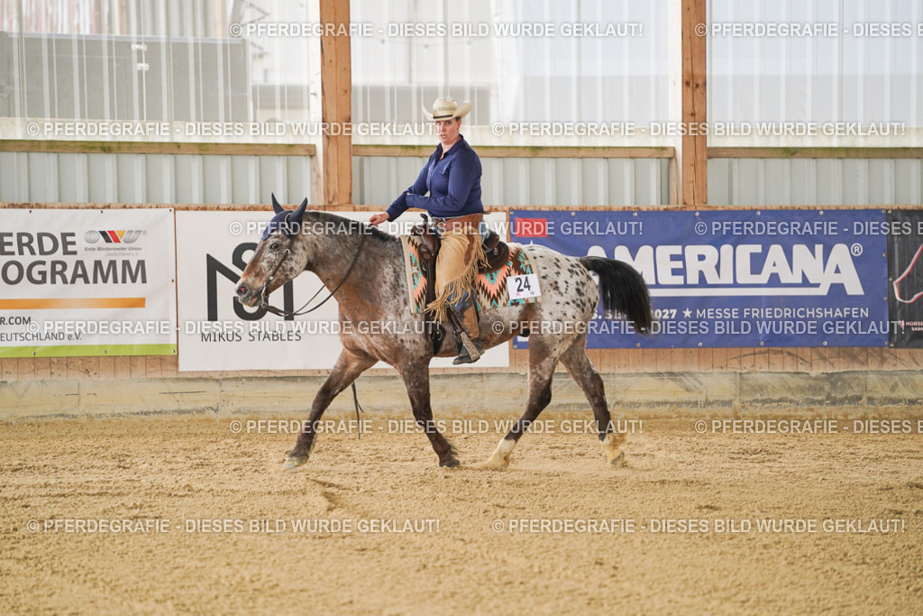 DSC02986 | Pferdegrafie