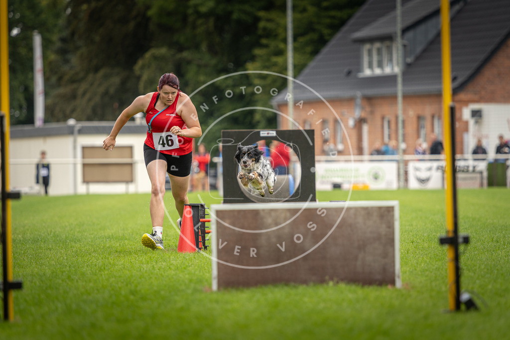 Pfotenfotografie_DV3A5910 | Hundefotografie, Tierfotograf, Pfotenfotografie, Fotoshooting Hund, Hunde Portrait, Hundesport, Hundeportraits, Heideshooting, Hunde, Sportfotograf, Hundefotograf, Turnierhundsport, THS,  - Realisiert mit Pictrs.com