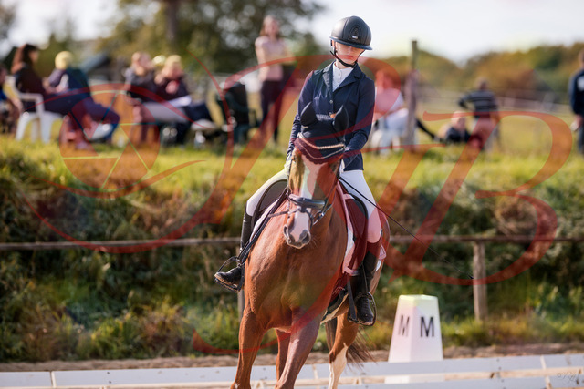 2026_10_03_Siefer-Hof_123413_Z81_31925333 | Professionelle Reitsport-, Turnier- und Eventfotografie von Robert Broda. Galerien mit ausgewählten und bearbeiteten Bildern direkt online ansehen und bestellen.