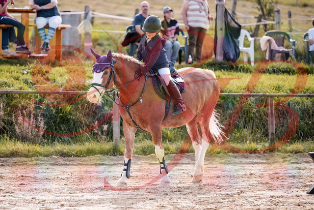 2026_10_03_Siefer-Hof_144530_Z81_21044181 | Professionelle Reitsport-, Turnier- und Eventfotografie von Robert Broda. Galerien mit ausgewählten und bearbeiteten Bildern direkt online ansehen und bestellen.