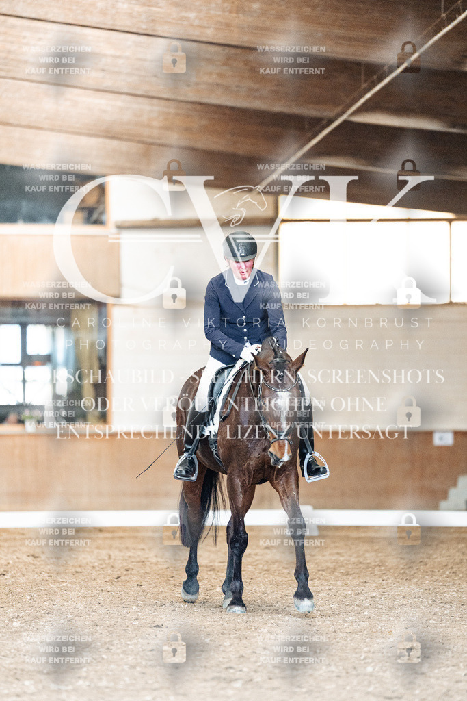 CK901435 | Turnierfotografie Pferdefotografie Trier Rheinland-Pfalz Pferdesport Reitsport Tierfotografie Sportfotografie Pferdevideo Pferdevideografie Equestrianvideography equestrianphotography  - Realisiert mit Pictrs.com
