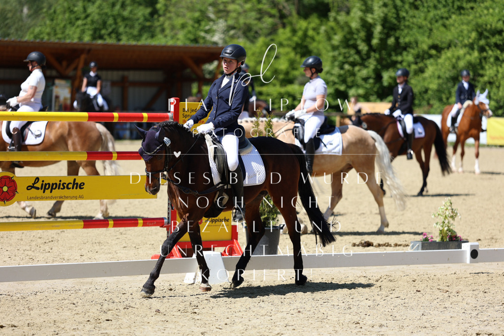 IMGS3414 | pl-fotografie