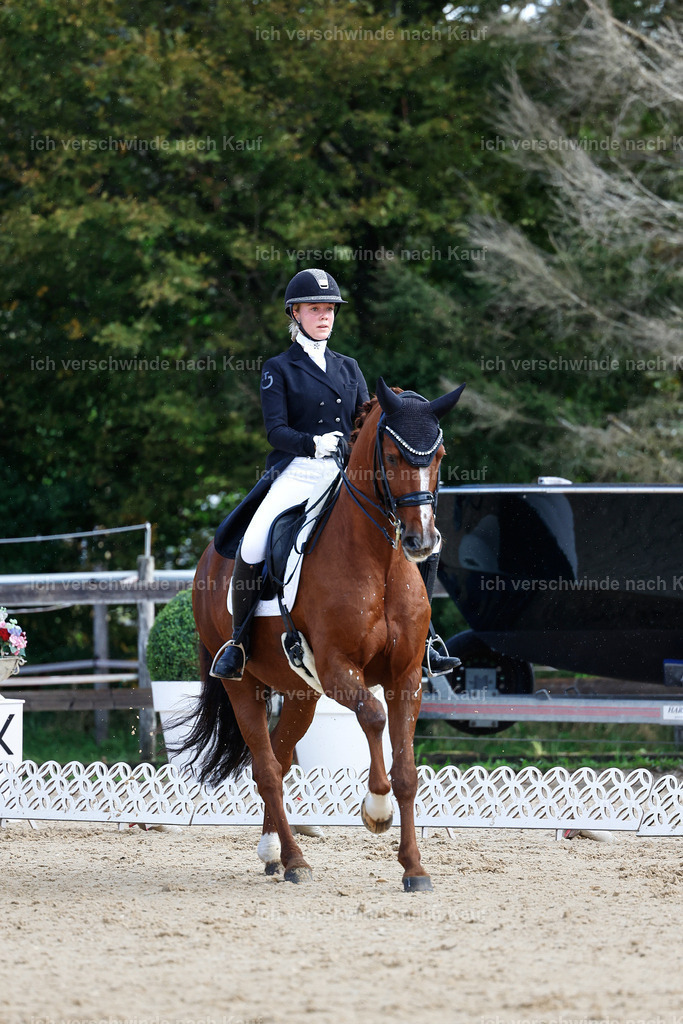 10-061-ST.GEORG SPECIAL -StoibPH-3159 | working equitationturnier fotograf videograf stoibphotography marixx film working equitation deutschland reitsport turnierfotografie eventfotografie equestrian events