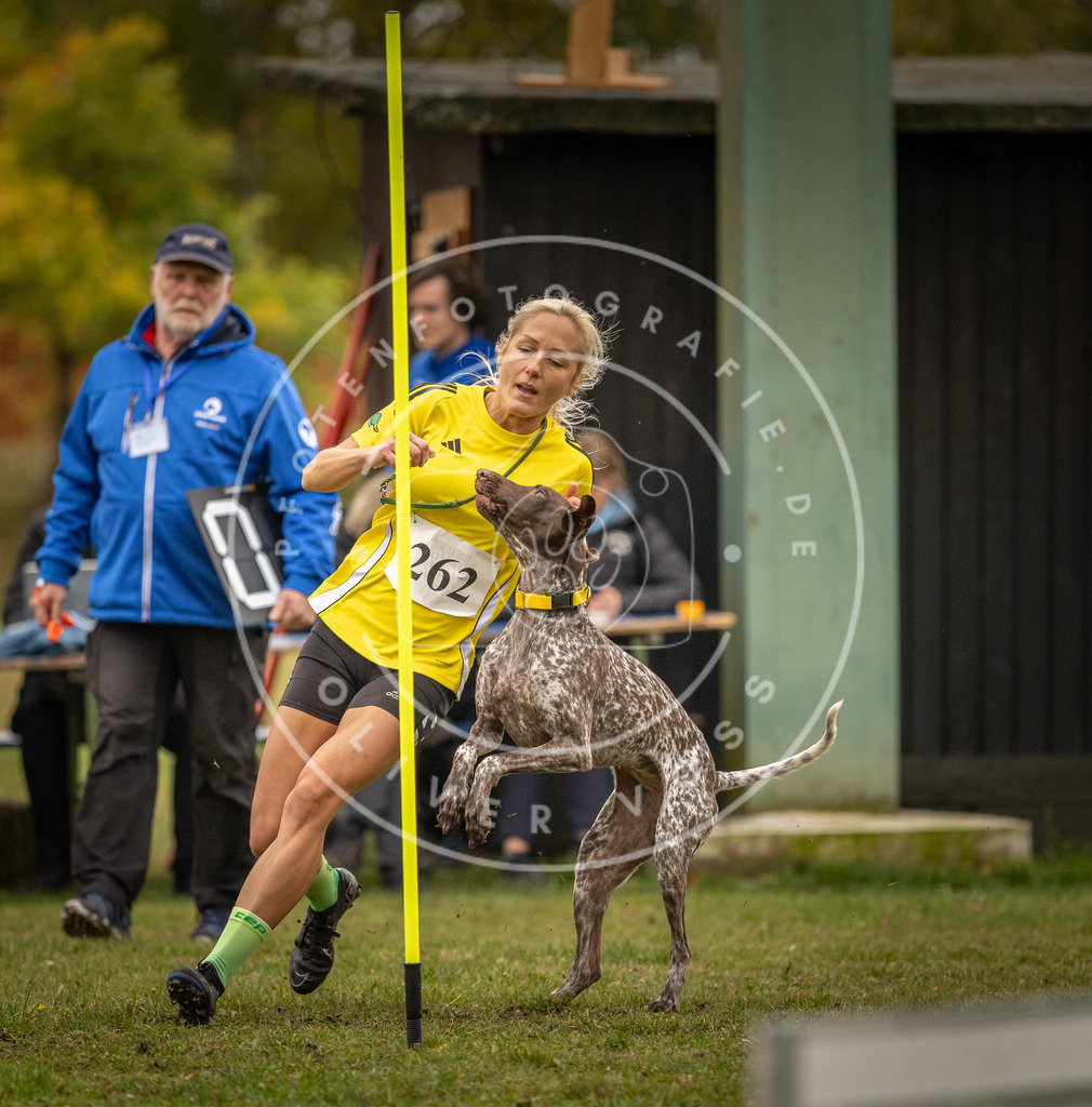 Pfotenfotografie_DV3A6822 | Hundefotografie, Tierfotograf, Pfotenfotografie, Fotoshooting Hund, Hunde Portrait, Hundesport, Hundeportraits, Heideshooting, Hunde, Sportfotograf, Hundefotograf, Turnierhundsport, THS,  - Realisiert mit Pictrs.com