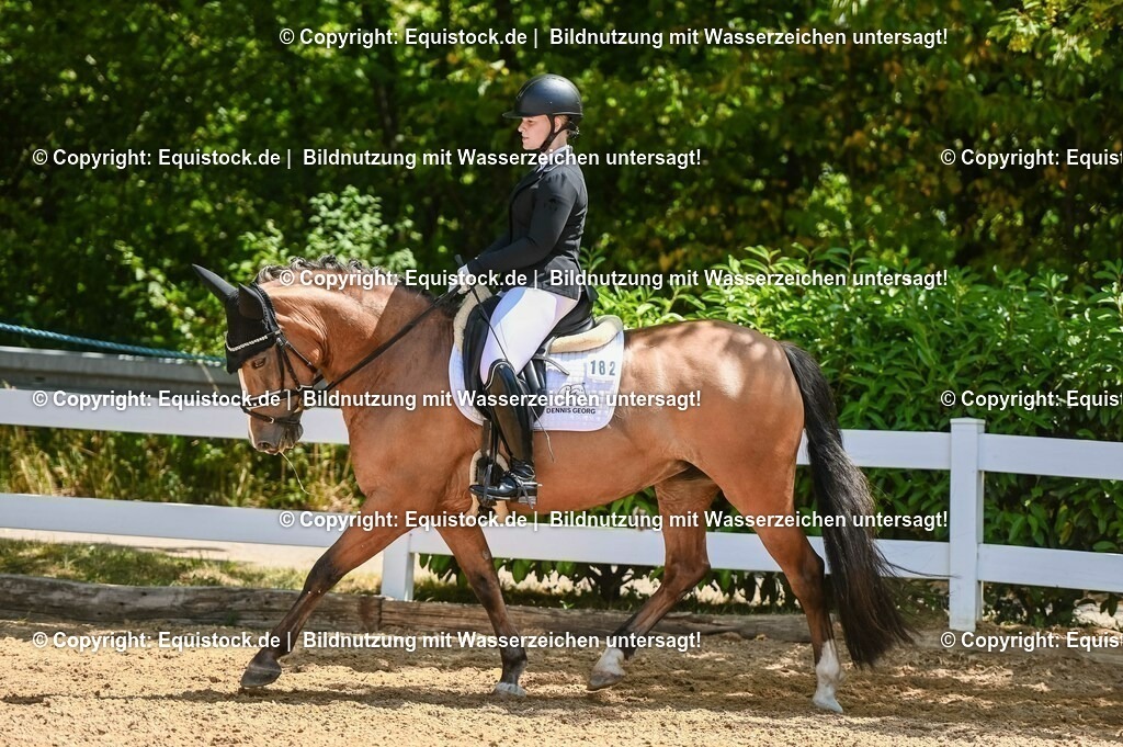 20230715_09_Dressur-WB_0326 | equistock