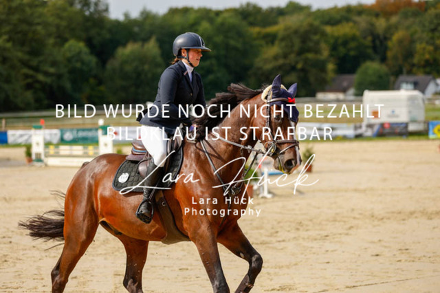 _62_9111 | larahueckfotografie