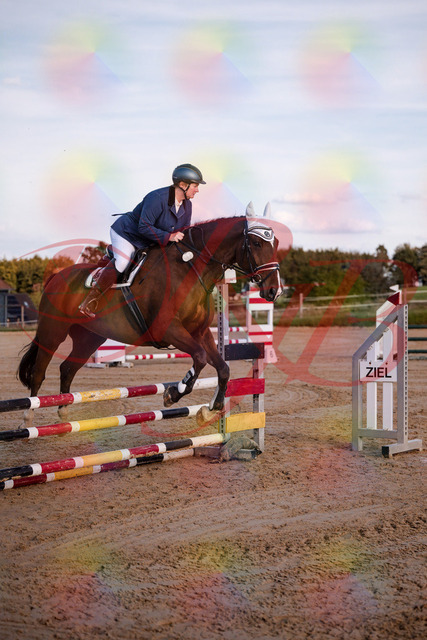 2026_10_03_Siefer-Hof_170340_Z81_00407179 | Professionelle Reitsport-, Turnier- und Eventfotografie von Robert Broda. Galerien mit ausgewählten und bearbeiteten Bildern direkt online ansehen und bestellen.