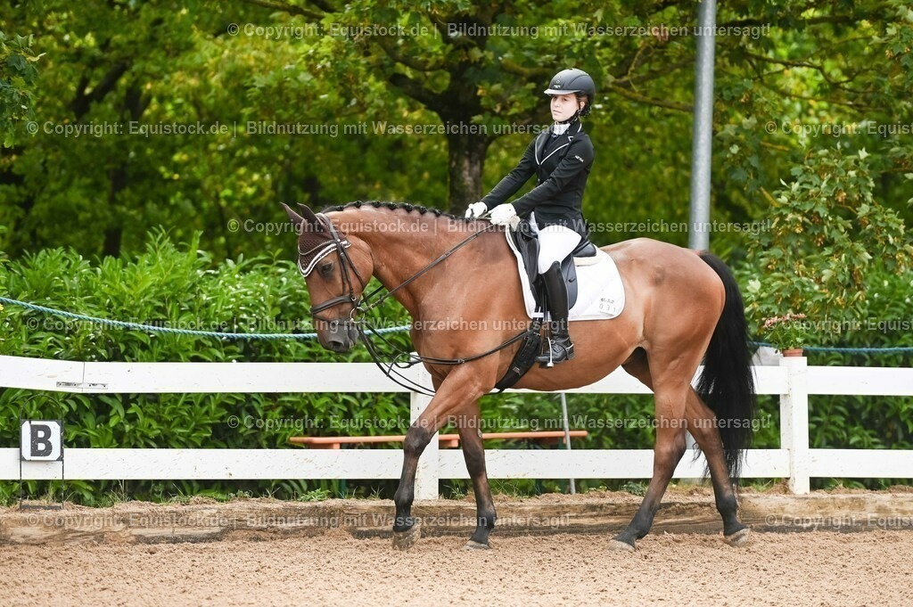 20230716_10-1_Reiter-WB Schritt - Trab - Galopp_0022 | equistock