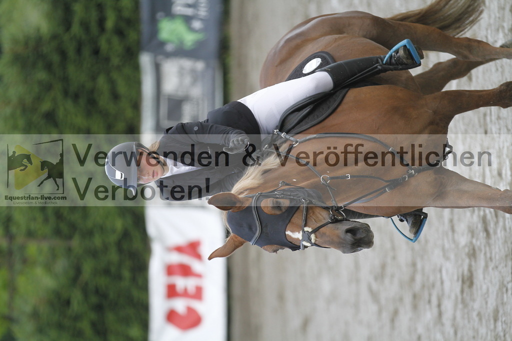 _MG_7248 | equestrian-live-com