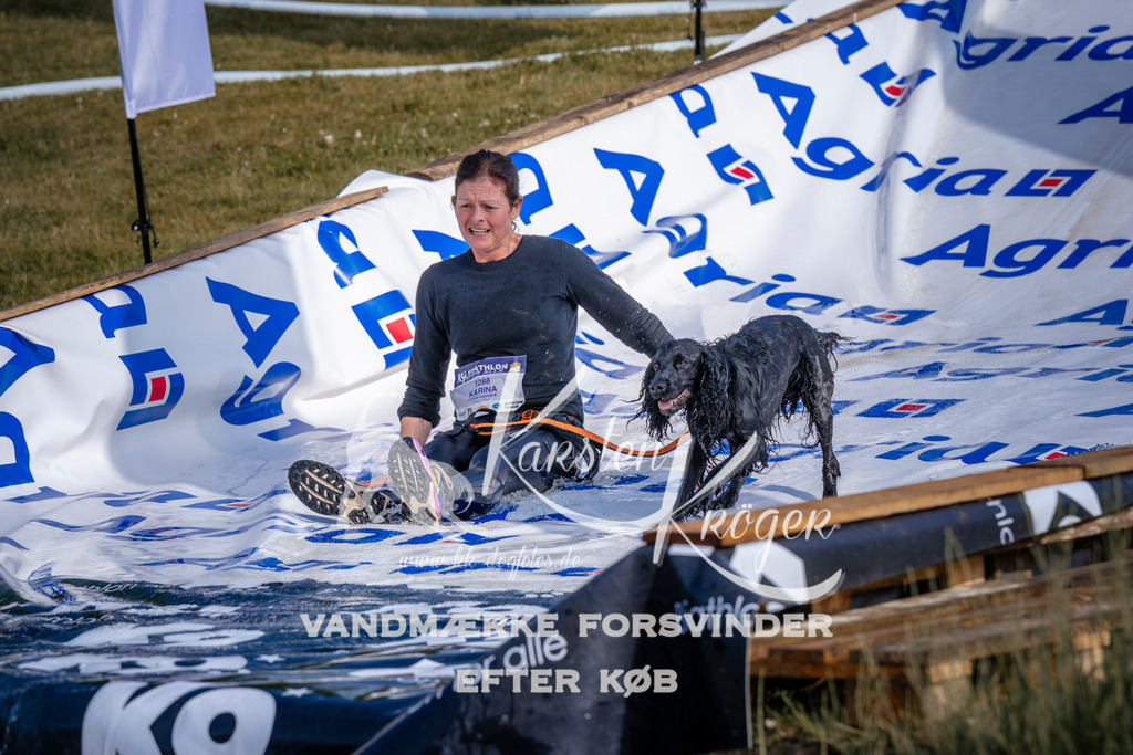 _ZZ949640722 | kk-dogfotos