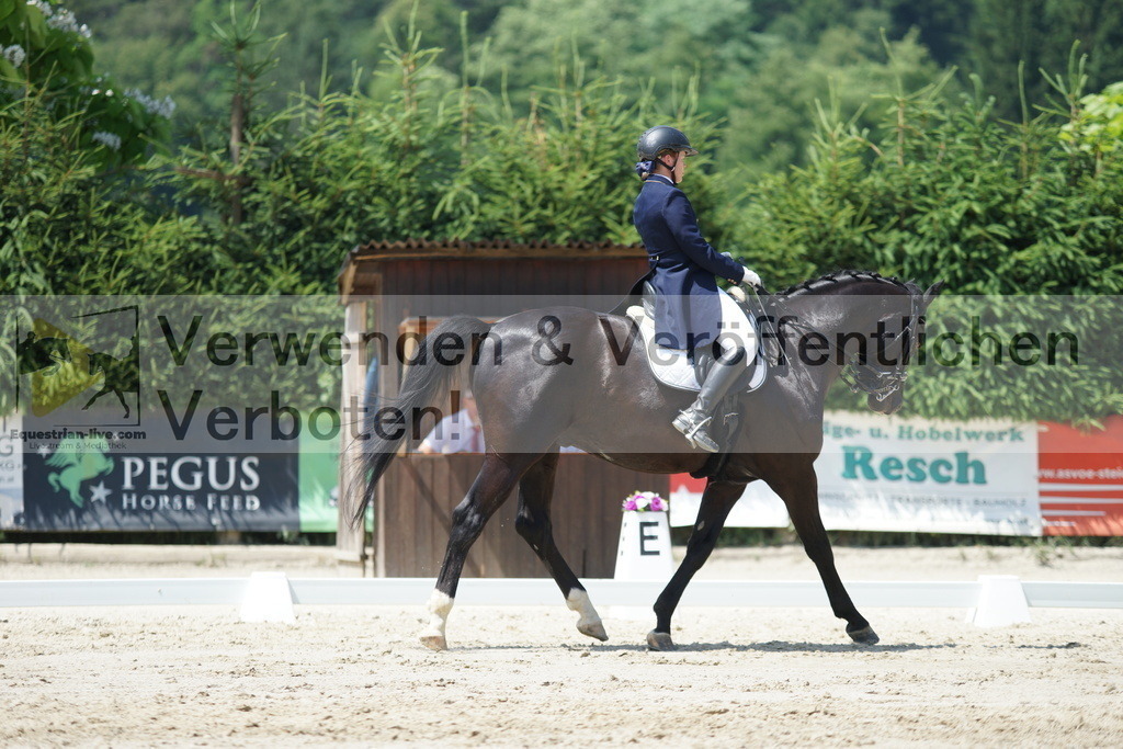 DSC05204 | equestrian-live-com