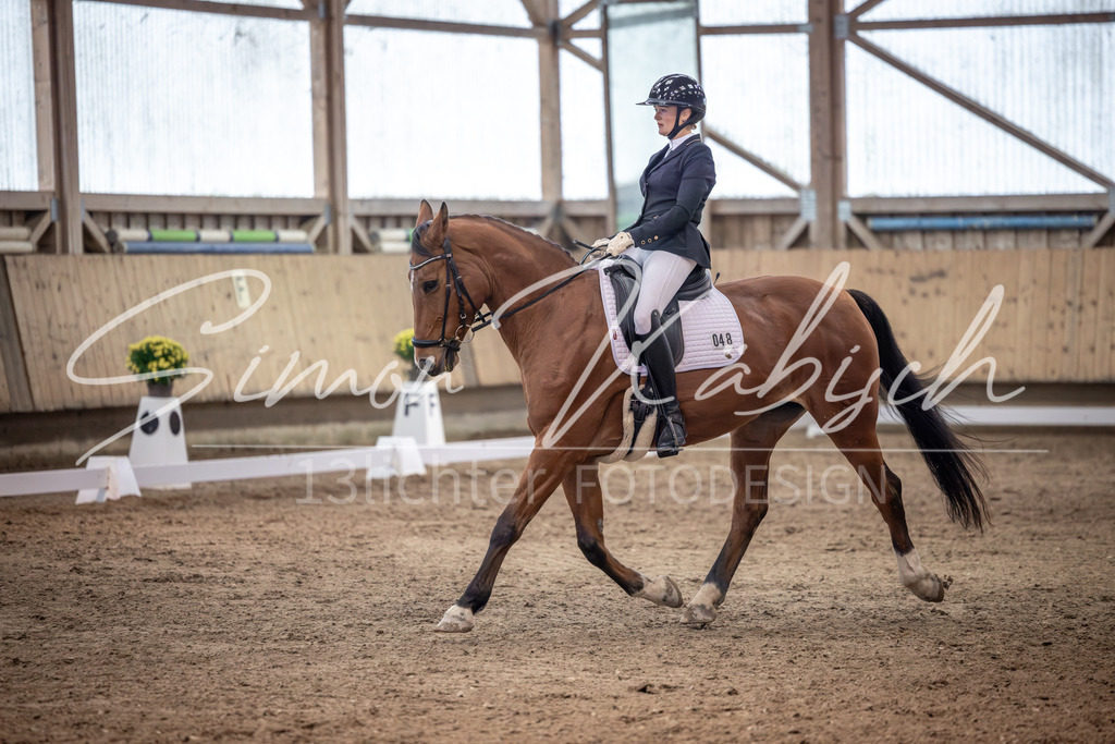 20251011-_3LI2017 | Tierfotografie Pferde, Hunde, Katzen, Haustiere.
Turnierfotografie Reitturniere, Reiten, Springreiten, Dressur in Hanau, dem Main-Kinzig-Kreis und dem Rhein-Main- Gebiet um Frankfurt