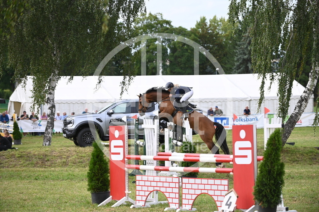 DSC_3343 | sattelsport - Realisiert mit Pictrs.com